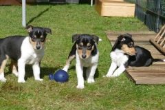 "Lasst die Spiele beginnen" Emmy (l), Abby & Leyla)