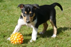 Frauenfußball (Leyla)