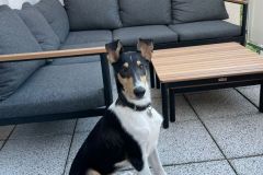 Rudi ....
