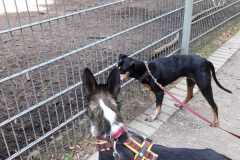 .... besucht den Tierpark ....