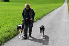 .... und nach dem SPIEL die ÜBUNG mit Cordula (Benji (l) & Josie) ....