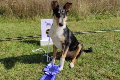 "Klein" Boogie startete in der Babyklasse :-) ....