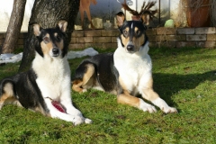 das Hochzeitspaar (Mia (l)& Darwin (r))