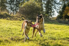 zu ZWEIT macht es umso mehr Spaß