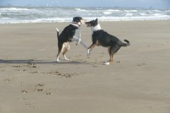 Strandspiele