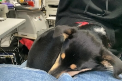 auch die kleine Josie :-)))))