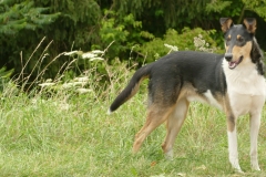 Rudi