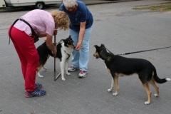 Emmy beim Messen und Josie schaut schon einmal gut zu ;-)
